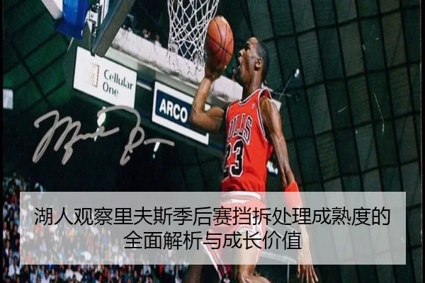湖人观察里夫斯季后赛挡拆处理成熟度的全面解析与成长价值